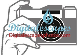 Digital Escapes Photography